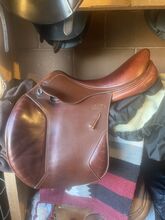 Superb 17.5 Mark Todd Saddle Medium Mark Todd Jump