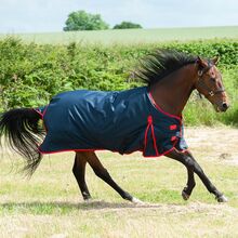 TROJAN 200 Turnout Rug sizes 5'6 6'0 6'3 6'9  7'0 gallop trojan  200gm turnout