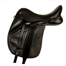 Equine Accessories & Tack