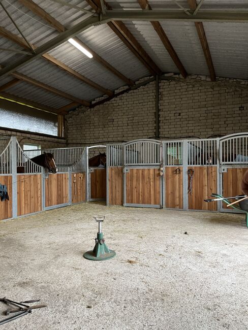 1-2 Pferdeboxen Traumhafte Lage, evtl Wohnung, Claudia , Stallplätze, Mettingen 