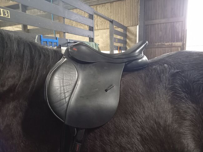 17" kent & masters cob saddle, Kent & Masters Cob GP, Fiona Davison, Other Saddle, Wallsend