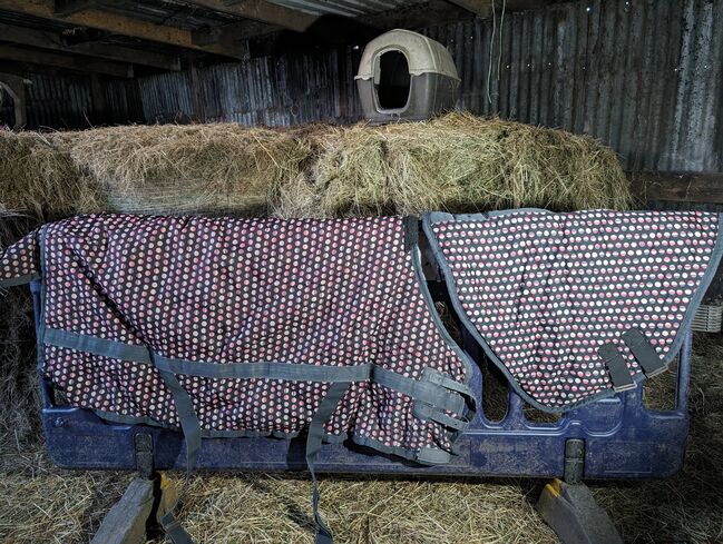 4'9 Requisite Heavy Weight Turnout Rug With Detachable Neck, Requisite , Karina, Horse Blankets, Sheets & Coolers, Thornhill, Image 4