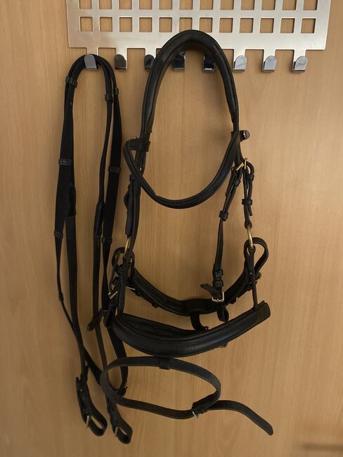 Anatomische Trense, Kieffer, Julien Koch , Bridles & Headstalls, Breitenbach 