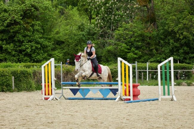 Appaloosa Wallach, Marlis, Pferd kaufen, Himberg, Abbildung 12