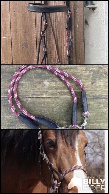 Barefoot Sidepull mit Zügel, Barefoot, Susanne, Bitless Bridles, Nierstein , Image 4