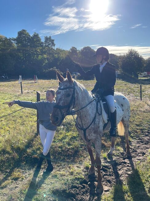 Beautiful Appaloosa Mare, Harriet , Pferd kaufen, Chertsey, Abbildung 4