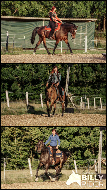 Beritt für Ihr Westernpferd, Erlangen-Höchsatdt, Strong Together Horsetraining UG, Verena + Janina, Reitunterricht, Gremsdorf, Abbildung 4