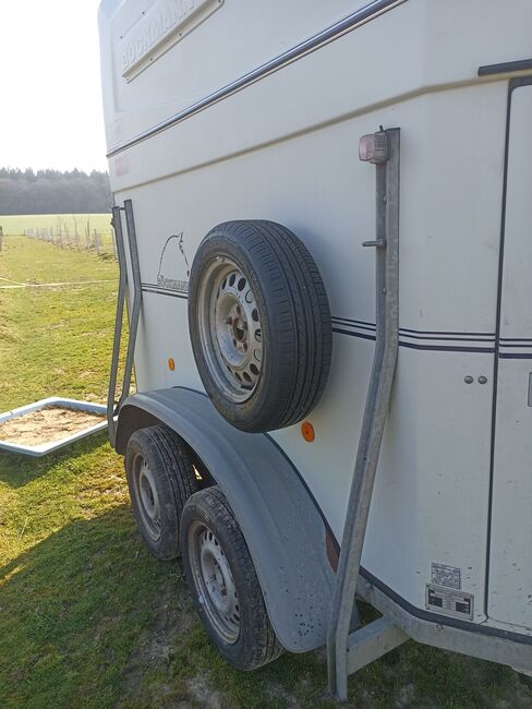 Böckmann 2er Vollpoli, 100km Zulassg.Tüv 2/25 angemeldet/fahrbereit, Böckmann 2er Vollpoli 2 Achsen 100 km Zulassung, Johann H. Herholz, Horse Trailers, Bassum, Image 2