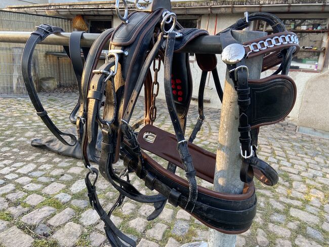 Brustblattgeschirr COB schwarz/braun *NEU*, Fischer Brustblattgeschirt, Sabine, Horse Harness, Geringswalde