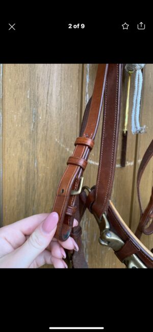 Busse Kappzaum mit Gebissriemen, Busse Professionell, Charline , Bitless Bridles, Siebenbäumen