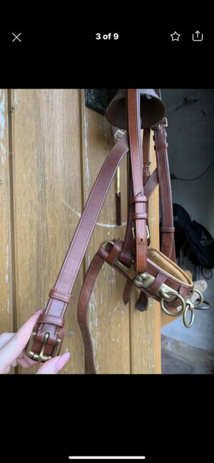 Busse Kappzaum mit Gebissriemen, Busse Professionell, Charline , Bitless Bridles, Siebenbäumen, Image 3