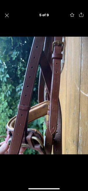 Busse Kappzaum mit Gebissriemen, Busse Professionell, Charline , Bitless Bridles, Siebenbäumen, Image 5