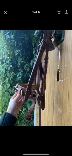 Busse Kappzaum mit Gebissriemen, Busse Professionell, Charline , Bitless Bridles, Siebenbäumen, Image 2