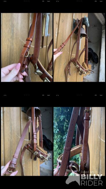 Busse Kappzaum mit Gebissriemen, Busse Professionell, Charline , Bitless Bridles, Siebenbäumen, Image 10