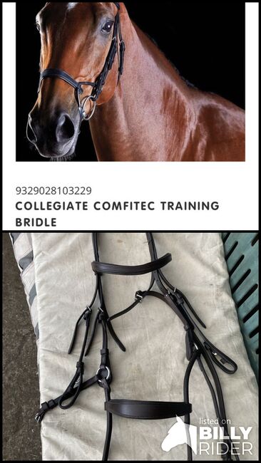 Collegiate comfitec bridle, Collegiate  Comfitec, Harriet, Bridles & Headstalls, Johnston , Image 3