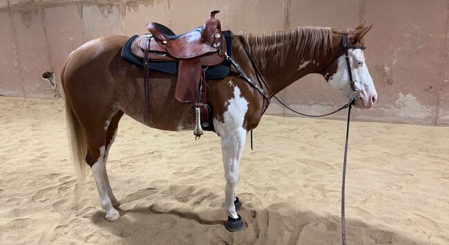 Crates Reining Saddle 16”, Crates Classic Reiner 2221, Karissa Kuntzsch, Western Saddle, Deerfield