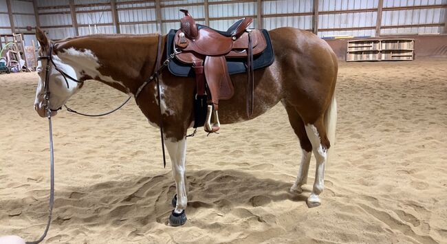 Crates Reining Saddle 16”, Crates Classic Reiner 2221, Karissa Kuntzsch, Western Saddle, Deerfield, Image 2