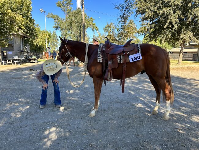 Crates Reining Saddle for Sale, Crates, Marissa Schechla, Westernsattel, Dixon, Abbildung 6