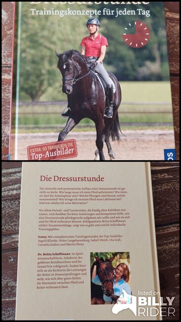 Die Dressurstunde, Saskia Sonntag , Bücher, Mühlacker, Abbildung 3