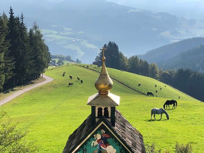 Einstellplatz Pensionsplatz für Pferde mit Lungenproblemen oder Sommerekzem!, E.C., Stallplätze, Reichenfels