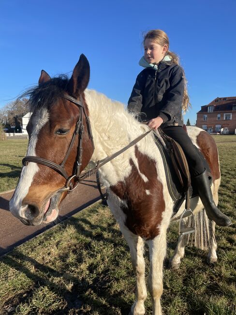 Endmaßpony zu verkaufen, Leatitia, Horses For Sale, Gröningen , Image 13