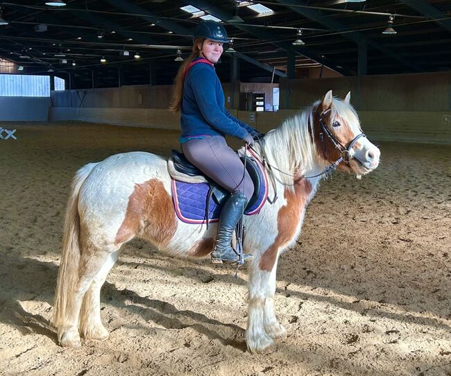 Ganz liebe Stute! ❤️🐴😍👍, Pferdeglück, Pferd kaufen, Pelmberg, Abbildung 8