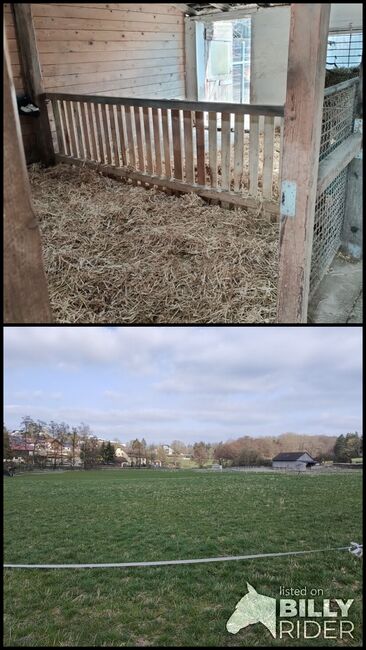 Pferdebox/Stall, Elke, Horse Stables, Crailsheim, Image 3