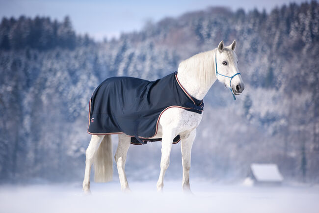 Pferdefotoshooting in der Schweiz / Pferdeshooting / Pferdefotografie, Caroline, Horse photography, Tuggen