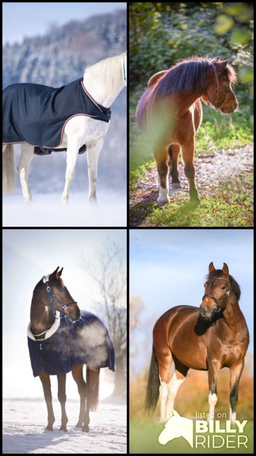 Pferdefotoshooting in der Schweiz / Pferdeshooting / Pferdefotografie, Caroline, Horse photography, Tuggen, Image 9