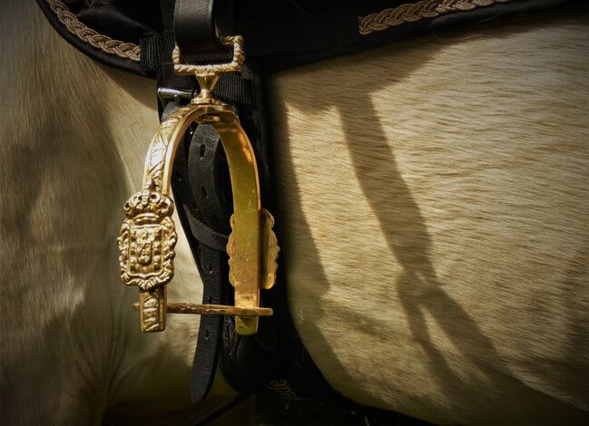Pferdefotografie / Fotoshooting Pferd & Reiter, Coeur de León - Pferdefotografie C&S (Coeur de León - Pferdefotografie C & S), Horse photography, Bad Wörishofen, Image 19