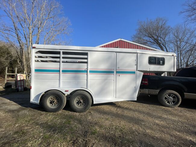 Horse trailer painting, Beth, Sonstiges, Primm Springs, Abbildung 3