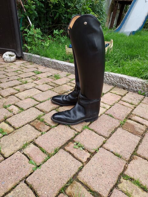 Königs Dressurstiefel Gr 8 1/2, Königs , Ld, Reitstiefel, Meinerzhagen 