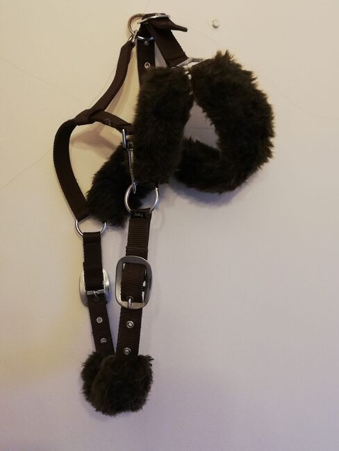 Le Mieux Head collar, Le mieux, Tanya , Halters, London, Image 3