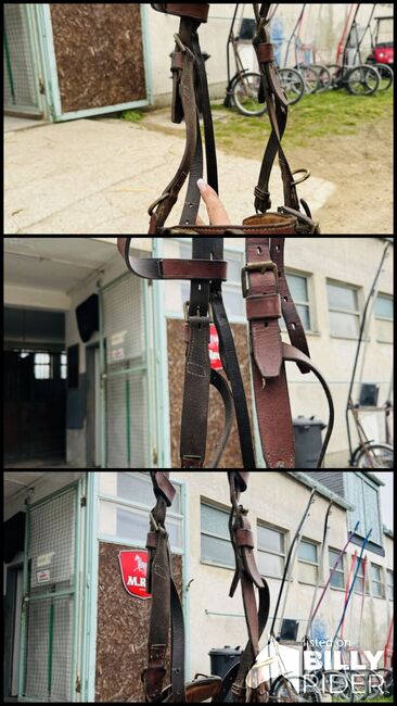 Kappzaum aus Leder, Deneke Monika, Bitless Bridles, Pfaffstätten, Image 4