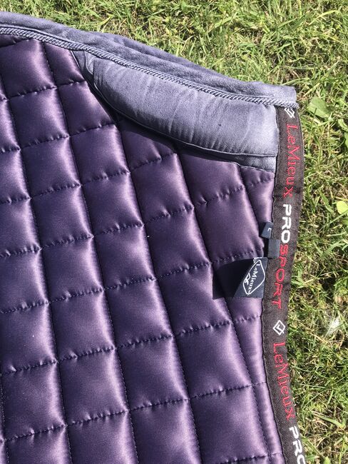 Loire L CC Pad, LeMieux , Sam, Dressage Pads, Rochford , Image 3