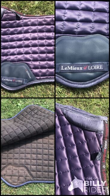 Loire L CC Pad, LeMieux , Sam, Dressage Pads, Rochford , Image 7