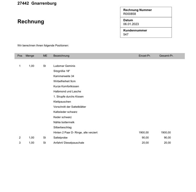 Ludomar Geminis, Ludomar Geminis mit Vorschnitt, Jacqueline Suchland, Baroque Saddle, Gnarrenburg, Image 7