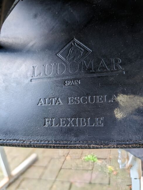 Ludomar alta Escuela flexible Deluxe, Ludomar  Alta Escuela flexible Deluxe , Andrea, Baroque Saddle, Büdingen , Image 14