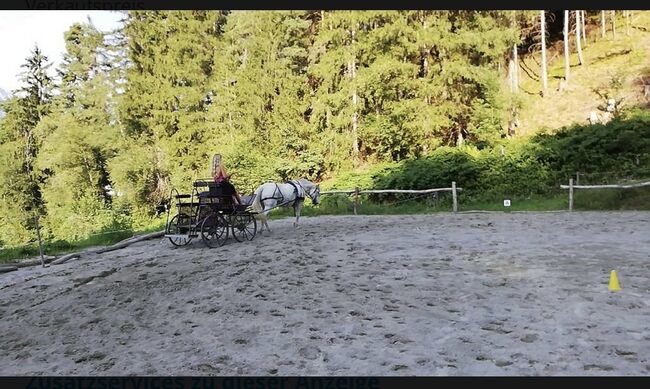 Marathon Kutsche, Marathonkutsche, Julia Schleich, Carriages, Stams, Image 2