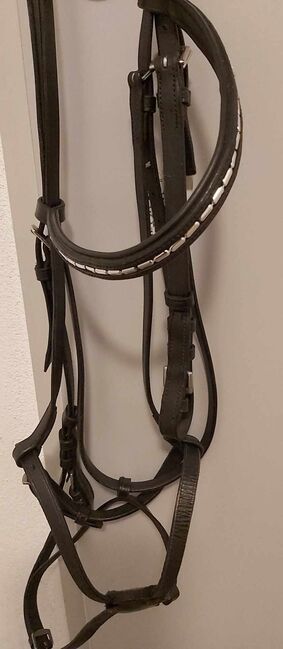 Mexikanisches Trensen-Zaum, Gabriele , Bitless Bridles, Salzburg