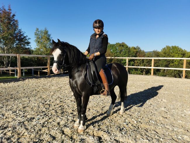 Mitreiterin für Welsh C Wallach gesucht, Barbara , Reitbeteiligungen, Schönherrn