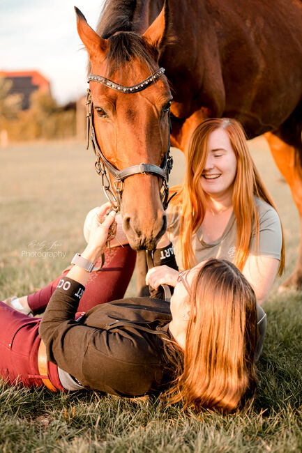 Biete Pferdefotografie, Emely , Horse photography, Billerbeck, Image 15