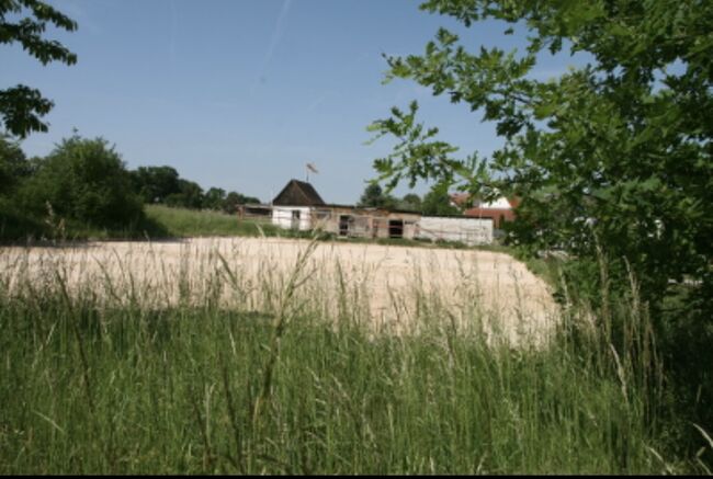 Paddockbox für Freizeitreiter, Jess, Stallplätze, Obermichelbach, Abbildung 3