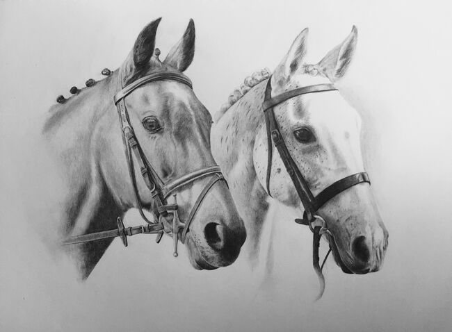 Pet and wildlife portraits, Art by Naomi Hawkins Pet, wildlife and equine artist and all others in between, Naomi Hawkins, Sonstiges, Lowestoft, Abbildung 3