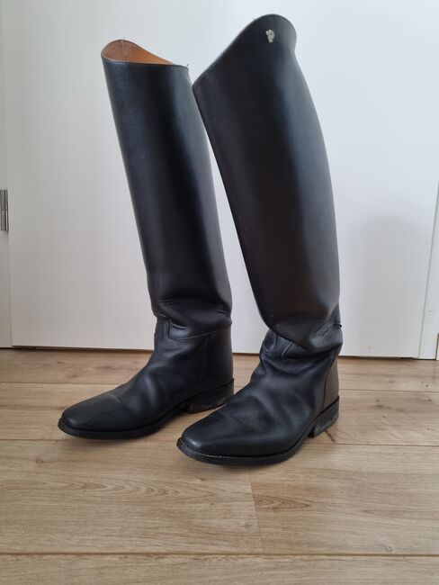 Petri Reitstiefel, Petrie, Nina, Reitstiefel, Arnsberg