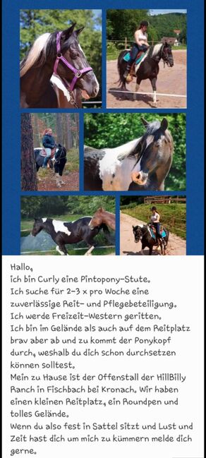 Pferd sucht Reiter, Kunert  Sabine , Reitbeteiligungen, Küps