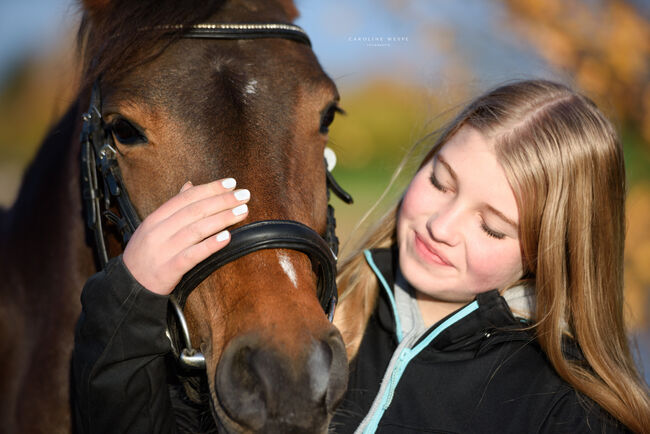 Pferdefotoshooting in der Schweiz / Pferdeshooting / Pferdefotografie, Caroline, Pferdefotografie, Tuggen, Abbildung 7