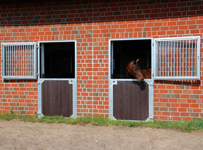 Pferdestalltür mit Sicherheitsglas | Stalltür Pferdestall, Rutjes Pferdenboxen und Zäume, Paddock-, Boxen- & Stallmatten, Goor, Abbildung 4