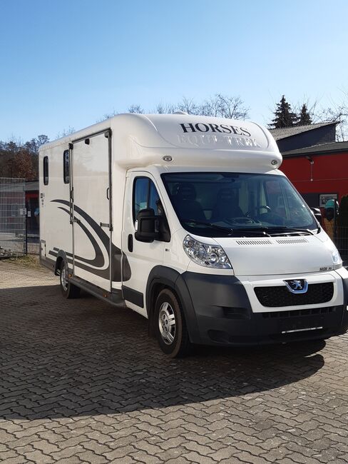 Pferdetransporter mit Wohnkabine, Peugeot Equi Trek  Victory- 2er Pferdetransporter, Stefanie Jainda, Transportzubehör, Luckenwalde, Abbildung 2