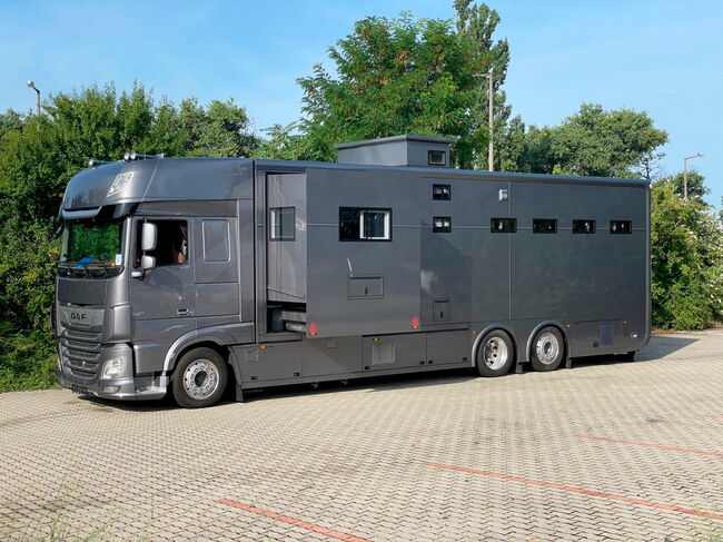 Pferdetransporter Wohnmobil LKW Neufahrzeug 530PS Horsetruck, Dickenherr DAF XF530 Dickenherr DAF XF 530 , Gerhard Strobel (Dickenherr Trucks und Trailers), Pferdeanhänger, Baden-Württemberg - Unterschneidheim